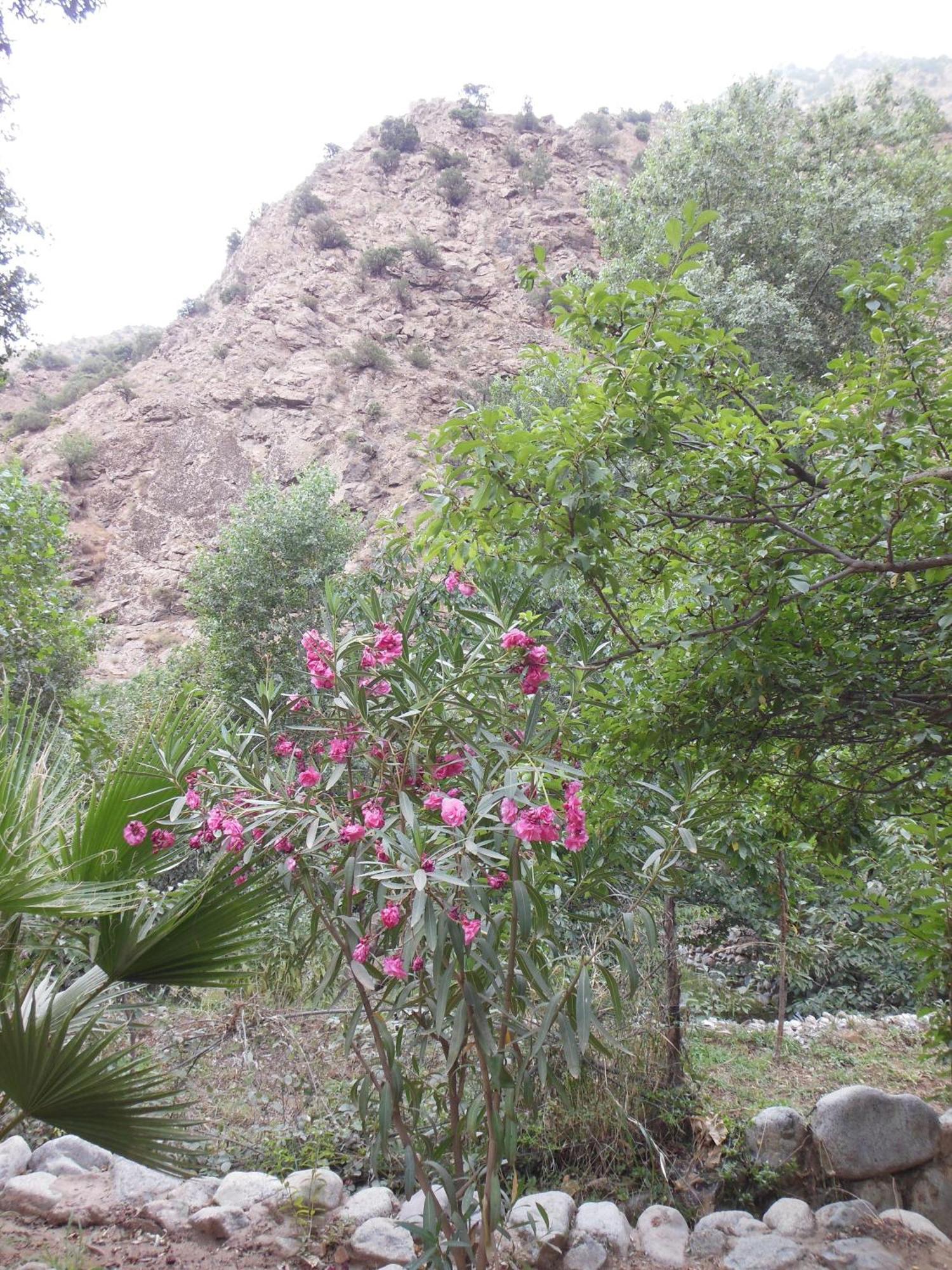 Au Bord De L'Eau Ξενοδοχείο Setti Fatma Εξωτερικό φωτογραφία